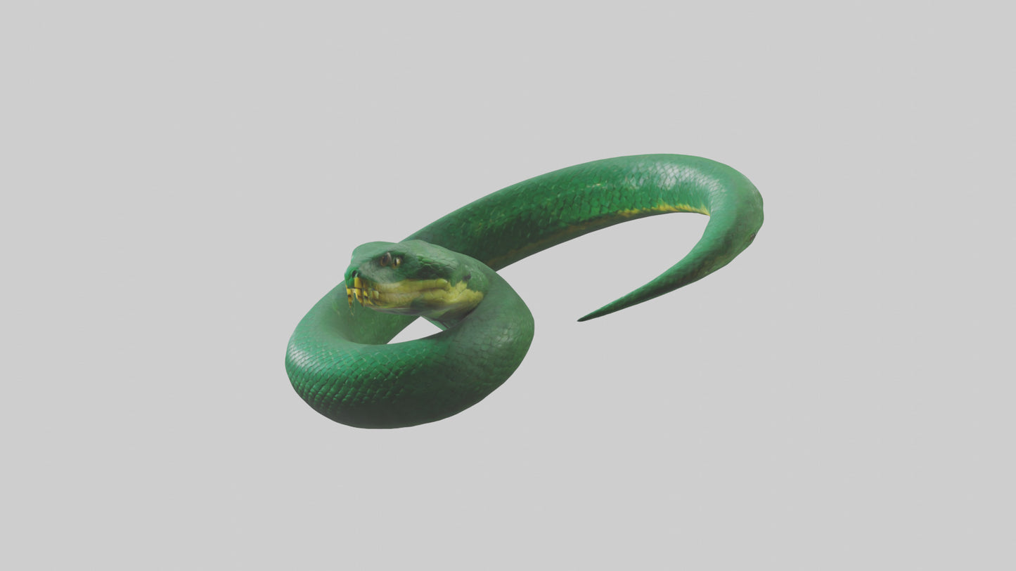 3D model Green Anaconda coiled model VR / AR / low-poly