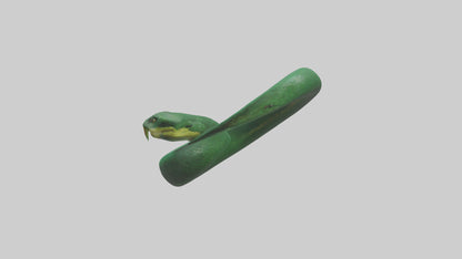 3D model Green Anaconda coiled model VR / AR / low-poly