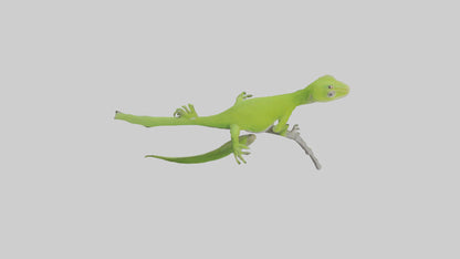 3D model Green Anole climbing model VR / AR / low-poly
