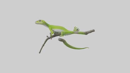 3D model Green Anole climbing model VR / AR / low-poly