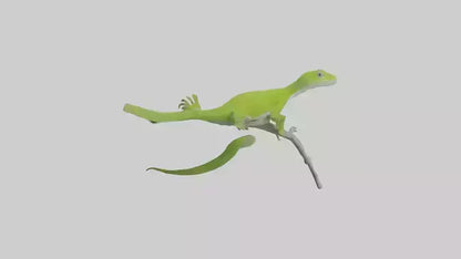 3D model Green Anole climbing model VR / AR / low-poly
