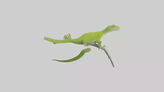 3D model Green Anole climbing model VR / AR / low-poly