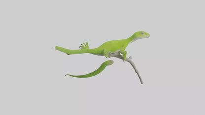 3D model Green Anole climbing model VR / AR / low-poly