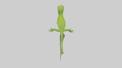 3D model Green Anole climbing model VR / AR / low-poly