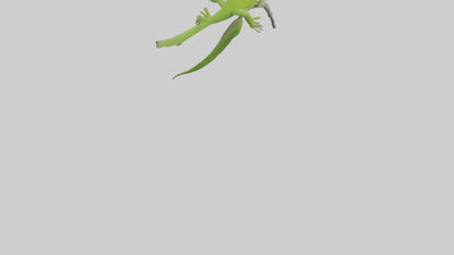 3D model Green Anole climbing model VR / AR / low-poly