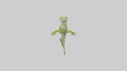 3D model Green Anole climbing model VR / AR / low-poly