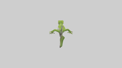 3D model Green Anole climbing model VR / AR / low-poly