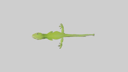 3D model Green Anole climbing model VR / AR / low-poly