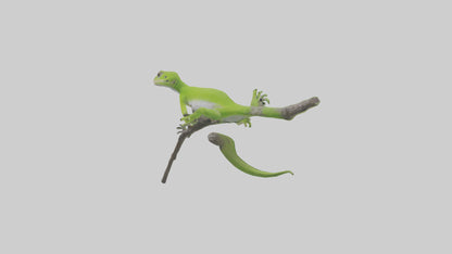 3D model Green Anole climbing model VR / AR / low-poly