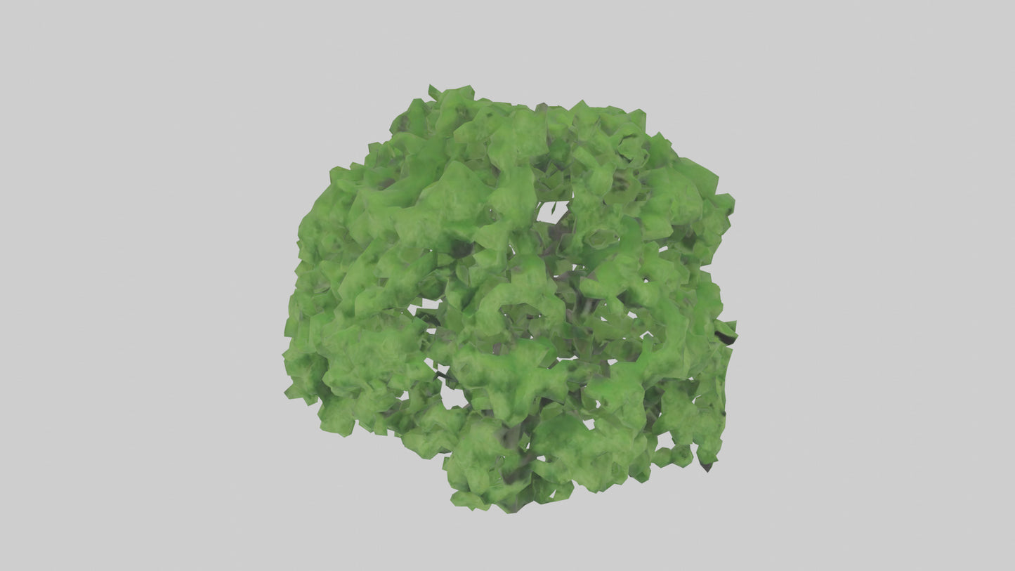3D model Green Ash tree model VR / AR / low-poly