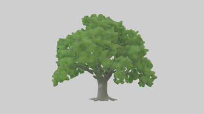 3D model Green Ash tree model VR / AR / low-poly