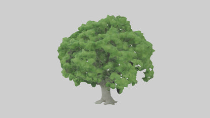 3D model Green Ash tree model VR / AR / low-poly