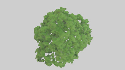 3D model Green Ash tree model VR / AR / low-poly