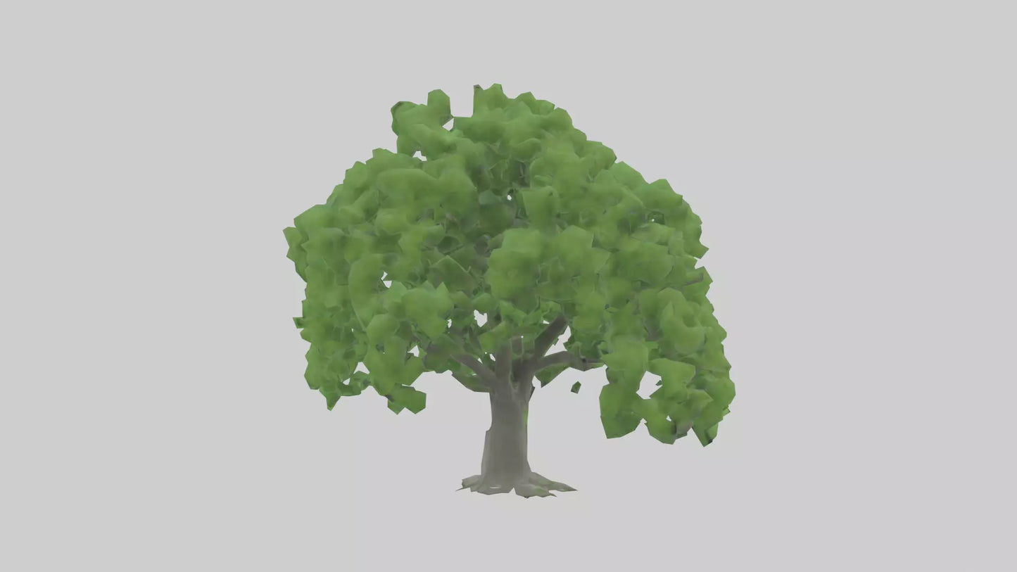3D model Green Ash tree model VR / AR / low-poly