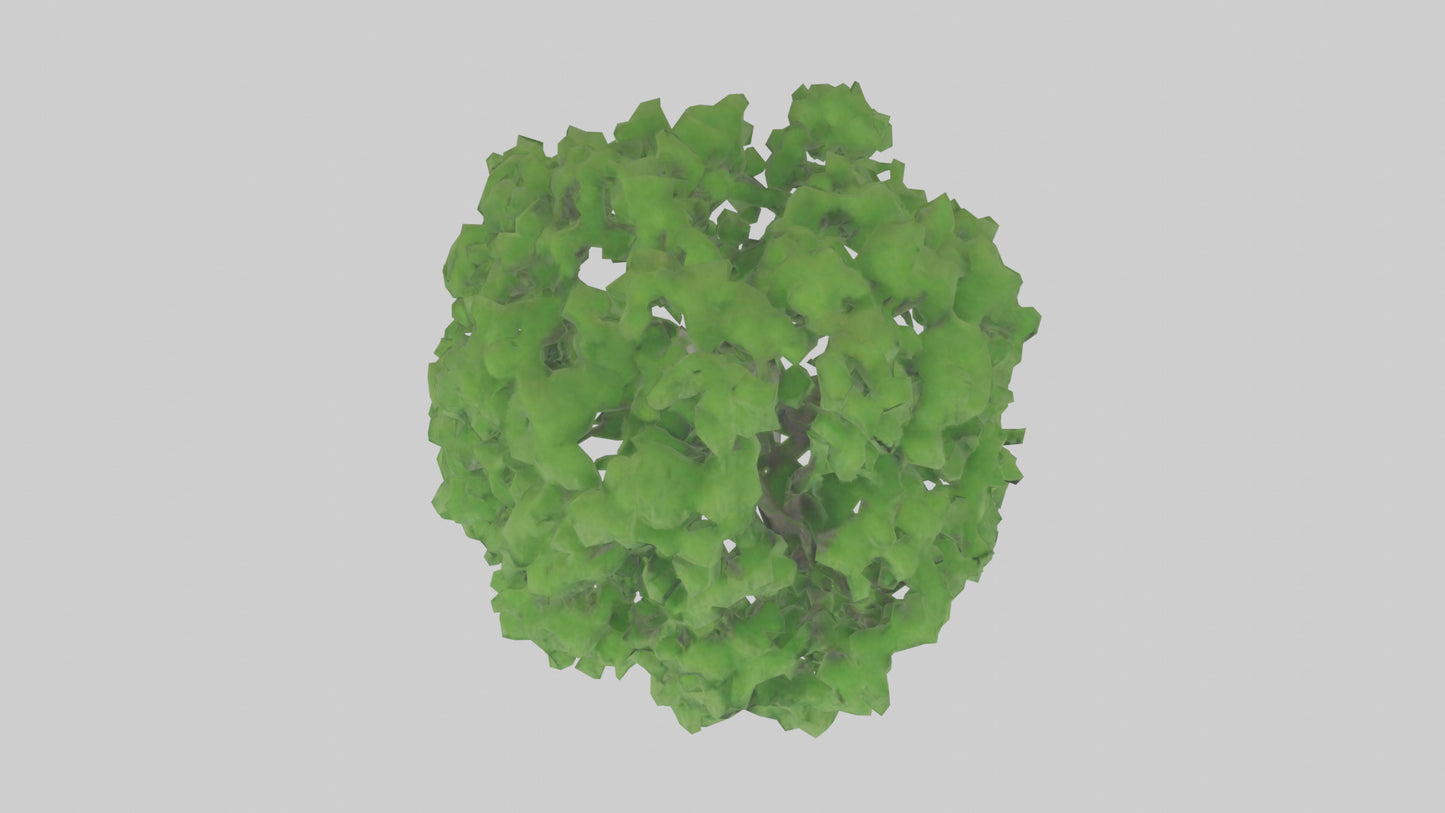 3D model Green Ash tree model VR / AR / low-poly