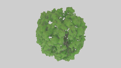 3D model Green Ash tree model VR / AR / low-poly