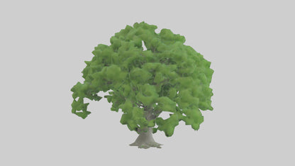 3D model Green Ash tree model VR / AR / low-poly