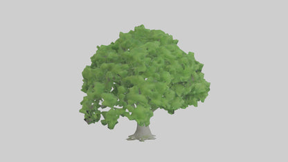 3D model Green Ash tree model VR / AR / low-poly