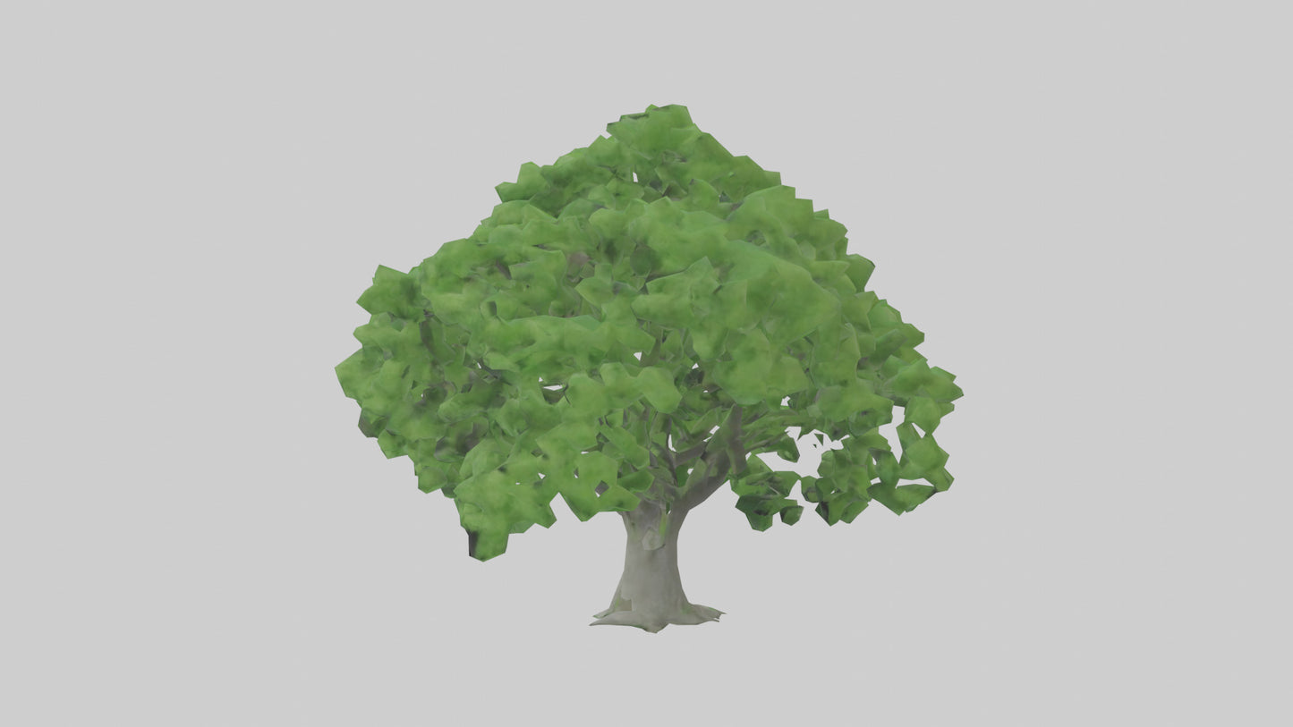 3D model Green Ash tree model VR / AR / low-poly
