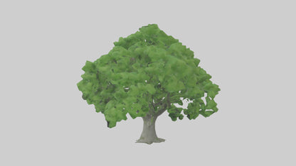 3D model Green Ash tree model VR / AR / low-poly