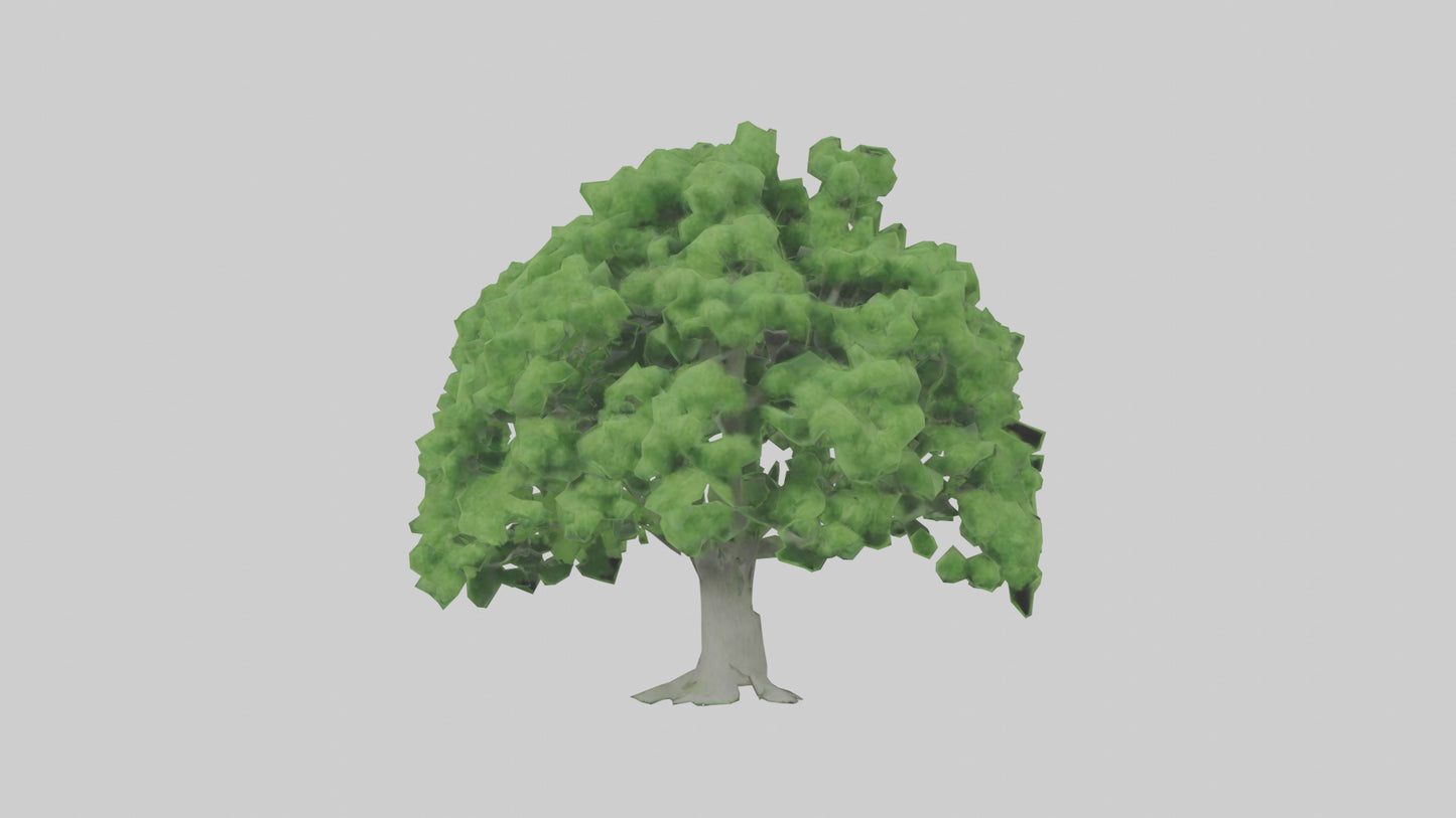 3D model Green Ash tree model VR / AR / low-poly