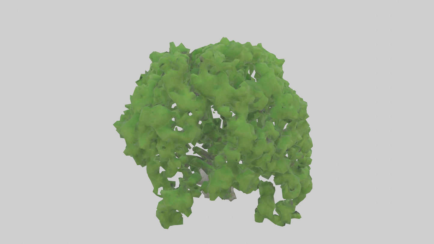 3D model Green Ash tree model VR / AR / low-poly