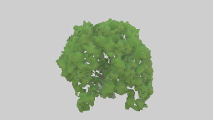 3D model Green Ash tree model VR / AR / low-poly