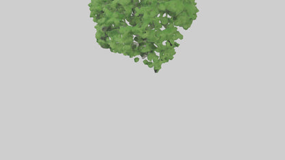3D model Green Ash tree model VR / AR / low-poly