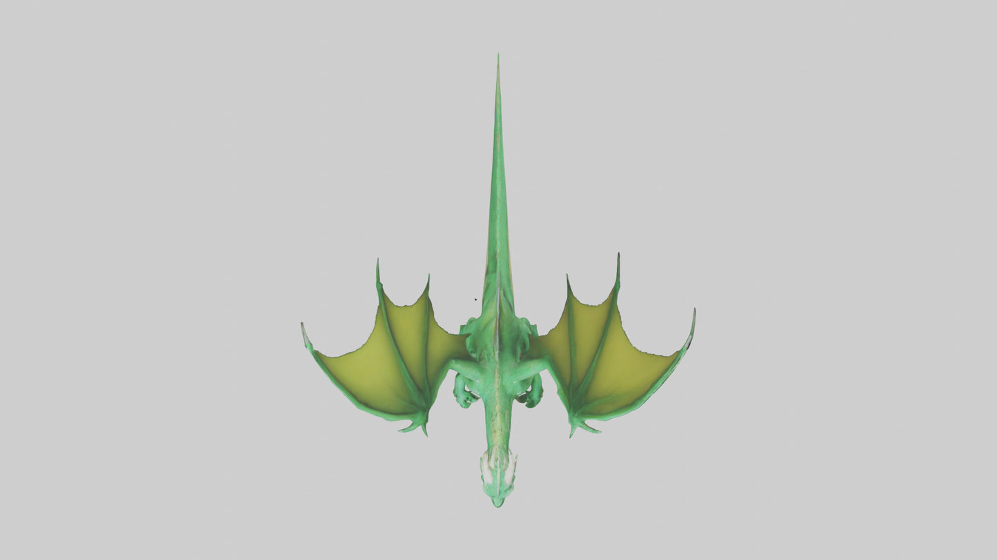 3D model Green Dragon model VR / AR / low-poly