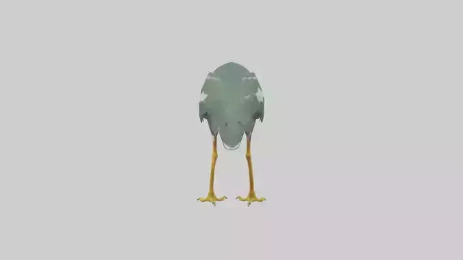 3D model Green Heron stalking model VR / AR / low-poly