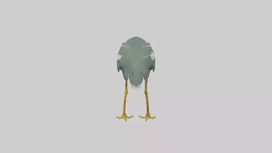 3D model Green Heron stalking model VR / AR / low-poly