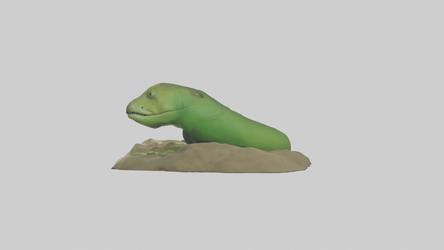 3D model Green Moray Eel hiding model VR / AR / low-poly