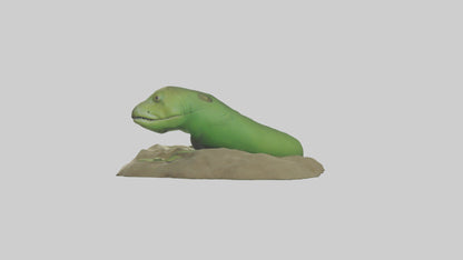 3D model Green Moray Eel hiding model VR / AR / low-poly