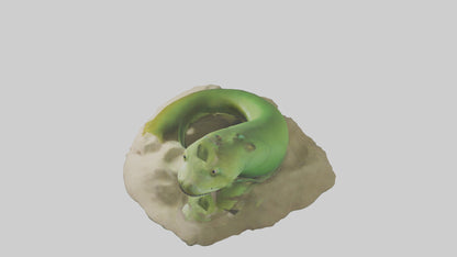 3D model Green Moray Eel hiding model VR / AR / low-poly