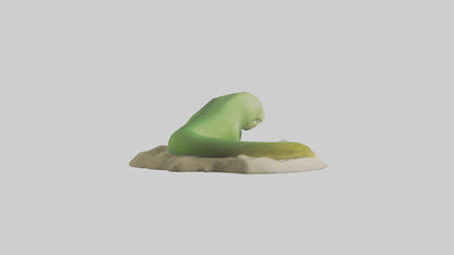 3D model Green Moray Eel hiding model VR / AR / low-poly