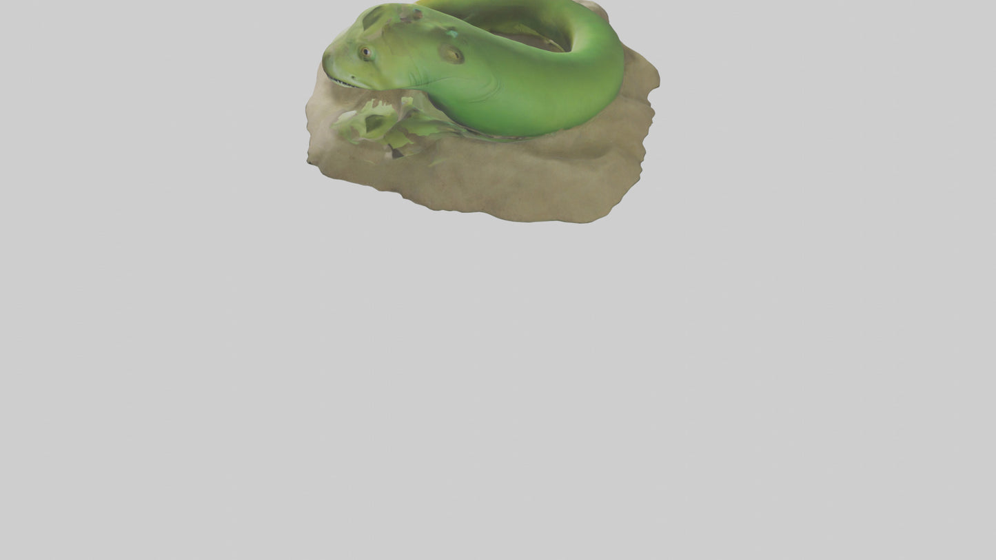 3D model Green Moray Eel hiding model VR / AR / low-poly
