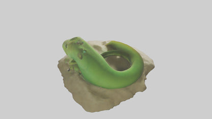 3D model Green Moray Eel hiding model VR / AR / low-poly