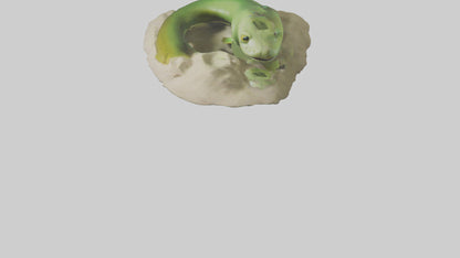 3D model Green Moray Eel hiding model VR / AR / low-poly