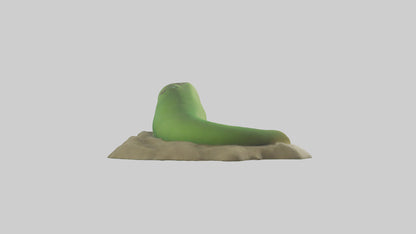 3D model Green Moray Eel hiding model VR / AR / low-poly