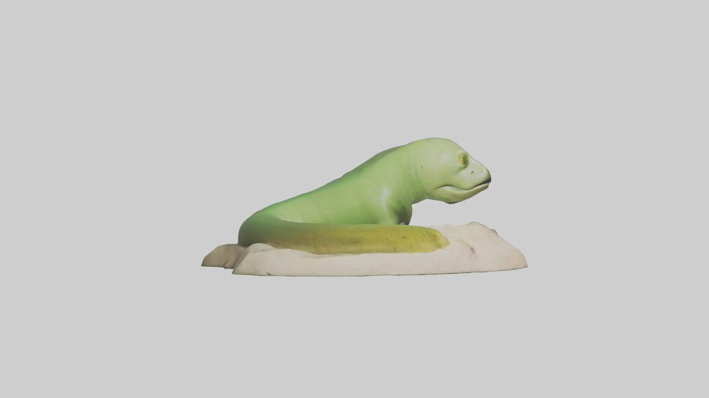 3D model Green Moray Eel hiding model VR / AR / low-poly