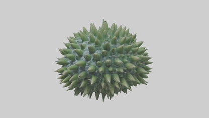 3D model Green Sea Urchin resting model VR / AR / low-poly