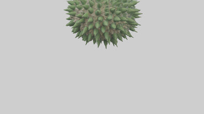 3D model Green Sea Urchin resting model VR / AR / low-poly