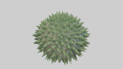 3D model Green Sea Urchin resting model VR / AR / low-poly