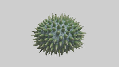 3D model Green Sea Urchin resting model VR / AR / low-poly