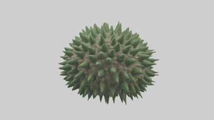 3D model Green Sea Urchin resting model VR / AR / low-poly