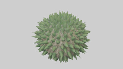 3D model Green Sea Urchin resting model VR / AR / low-poly