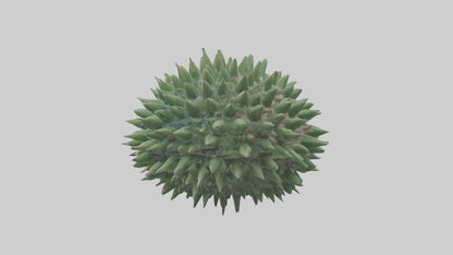 3D model Green Sea Urchin resting model VR / AR / low-poly
