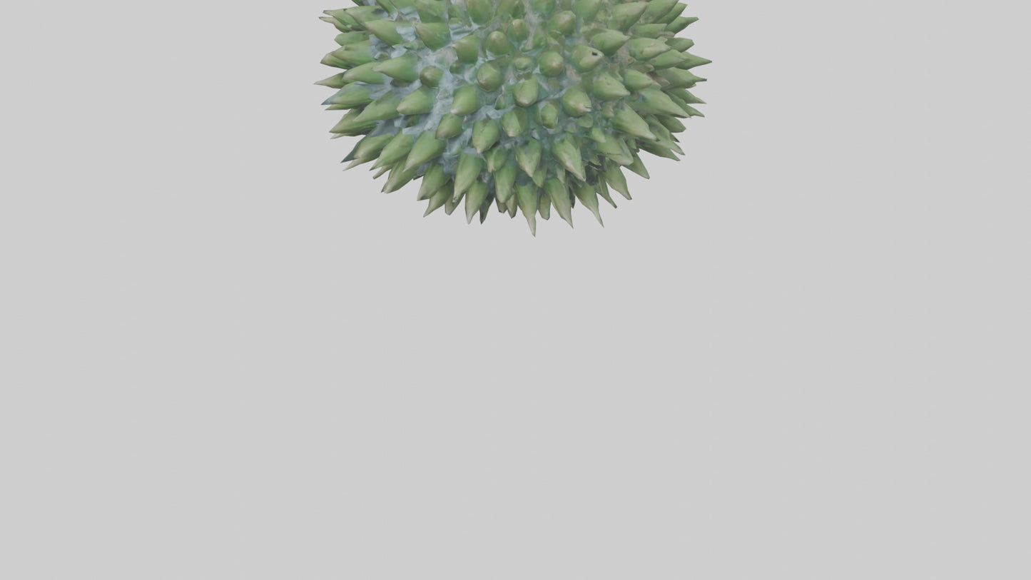 3D model Green Sea Urchin resting model VR / AR / low-poly