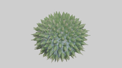 3D model Green Sea Urchin resting model VR / AR / low-poly
