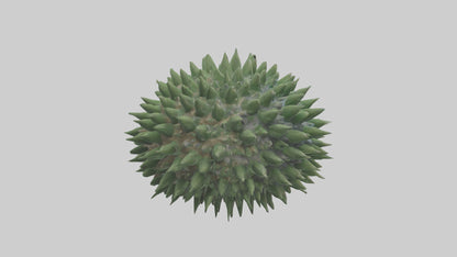 3D model Green Sea Urchin resting model VR / AR / low-poly